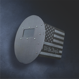 We_The_People_49a45d28-683e-